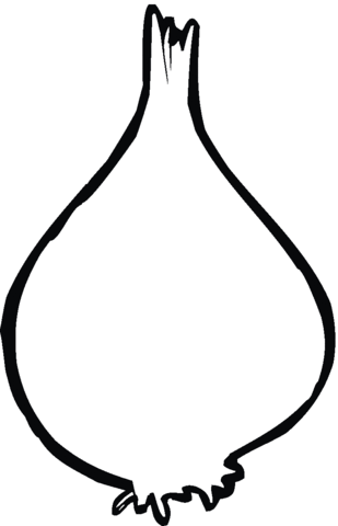 Onion Outline Coloring Page